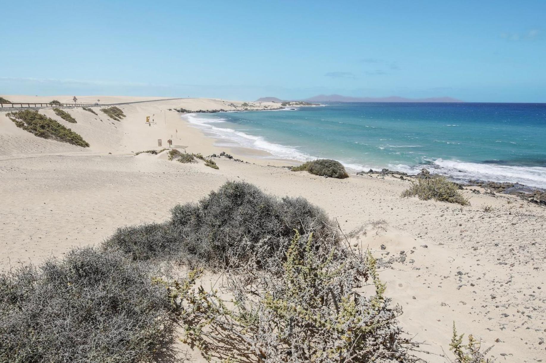 El Cortijo Villa La Oliva Eksteriør bilde
